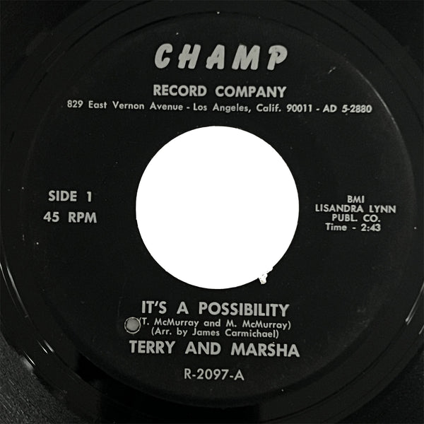Terry and Marsha - It's A Possibility