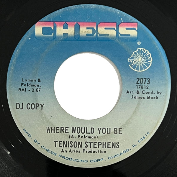 Tenison Stephens - Where Would You Be (promo)