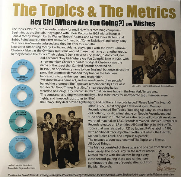 Topics - Hey Girl / Metrics - Wishes
