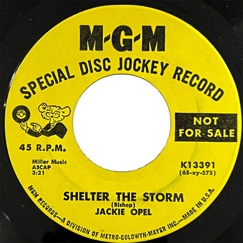 Jackie Opel - Shelter The Storm