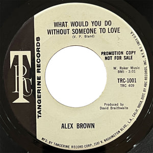Alex Brown - What Would You Do Without Someone To Love