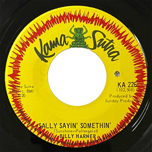 Billy Harner - Sally Sayin' Somethin'