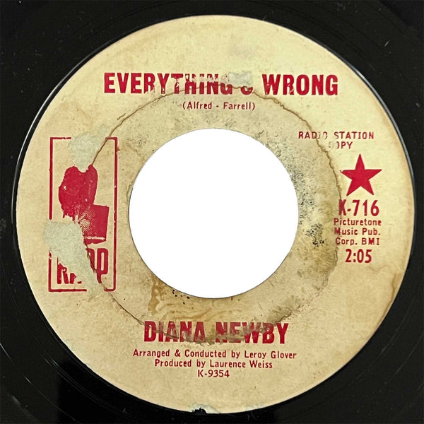 Diana Newby - Everything's Wrong