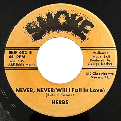 Herbs - Never, Never (Will I Fall In Love)