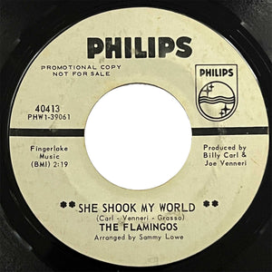 Flamingos - She Shook My World (promo)