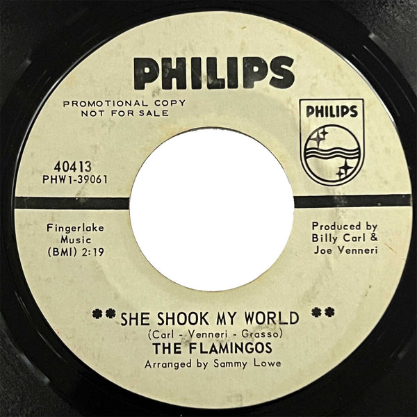 Flamingos - She Shook My World (promo)