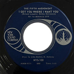 Fifth Amendment - I Got You Where I Want You