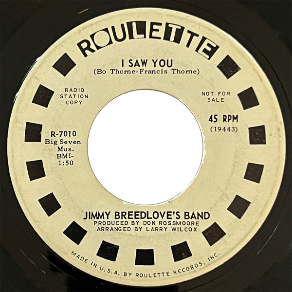 Jimmy Breedlove - I Can't Help Lovin' You - Promo