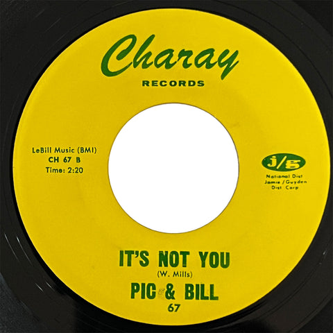 Pic and Bill - It's Not You