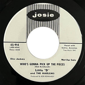 Little D and The Harlems - Who's Gonna Pick Up The Pieces (promo)