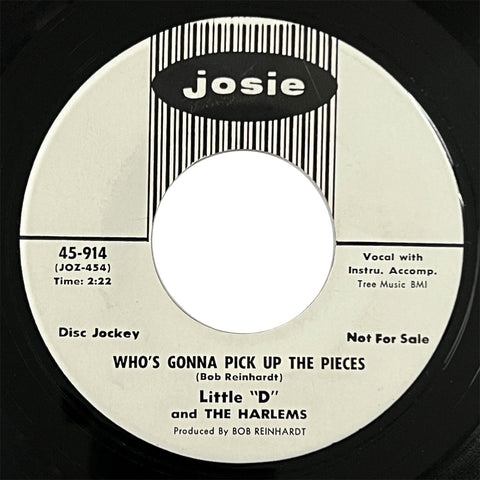 Little D and The Harlems - Who's Gonna Pick Up The Pieces (promo)