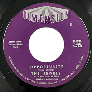 Jewels - Opportunity