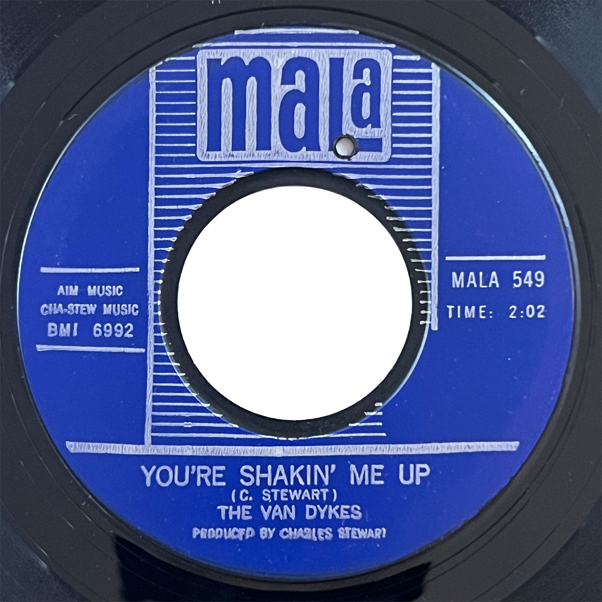 Van Dykes - You're Shakin Me Up