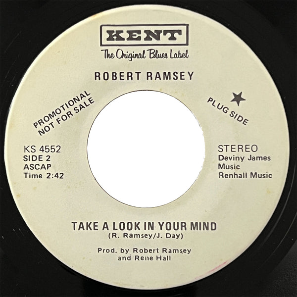 Robert Ramsey - Like It Stands (promo)