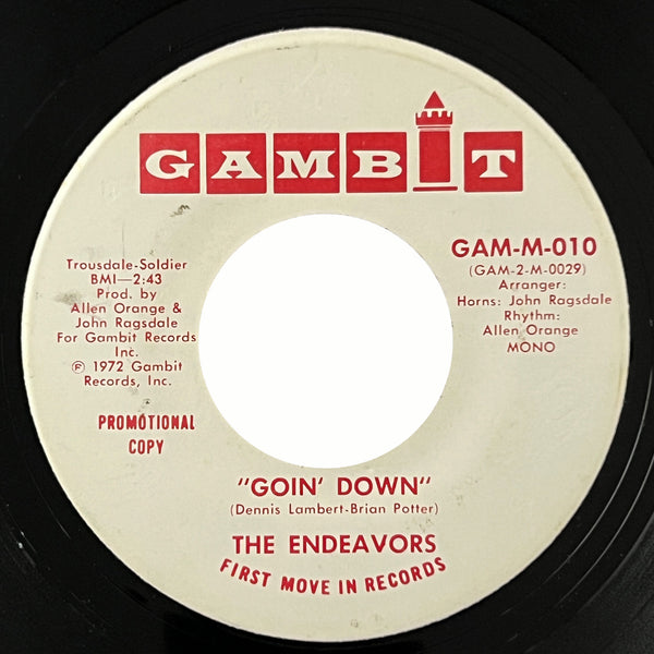 Endeavors - Goin' Down (promo)