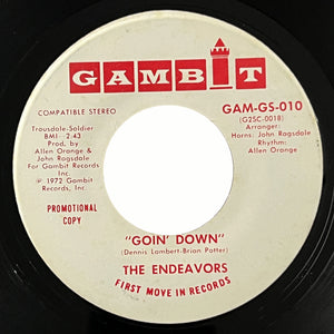 Endeavors - Goin' Down (promo)