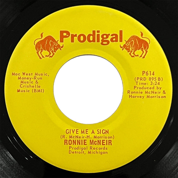 Ronnie McNeir - Wendy Is Gone