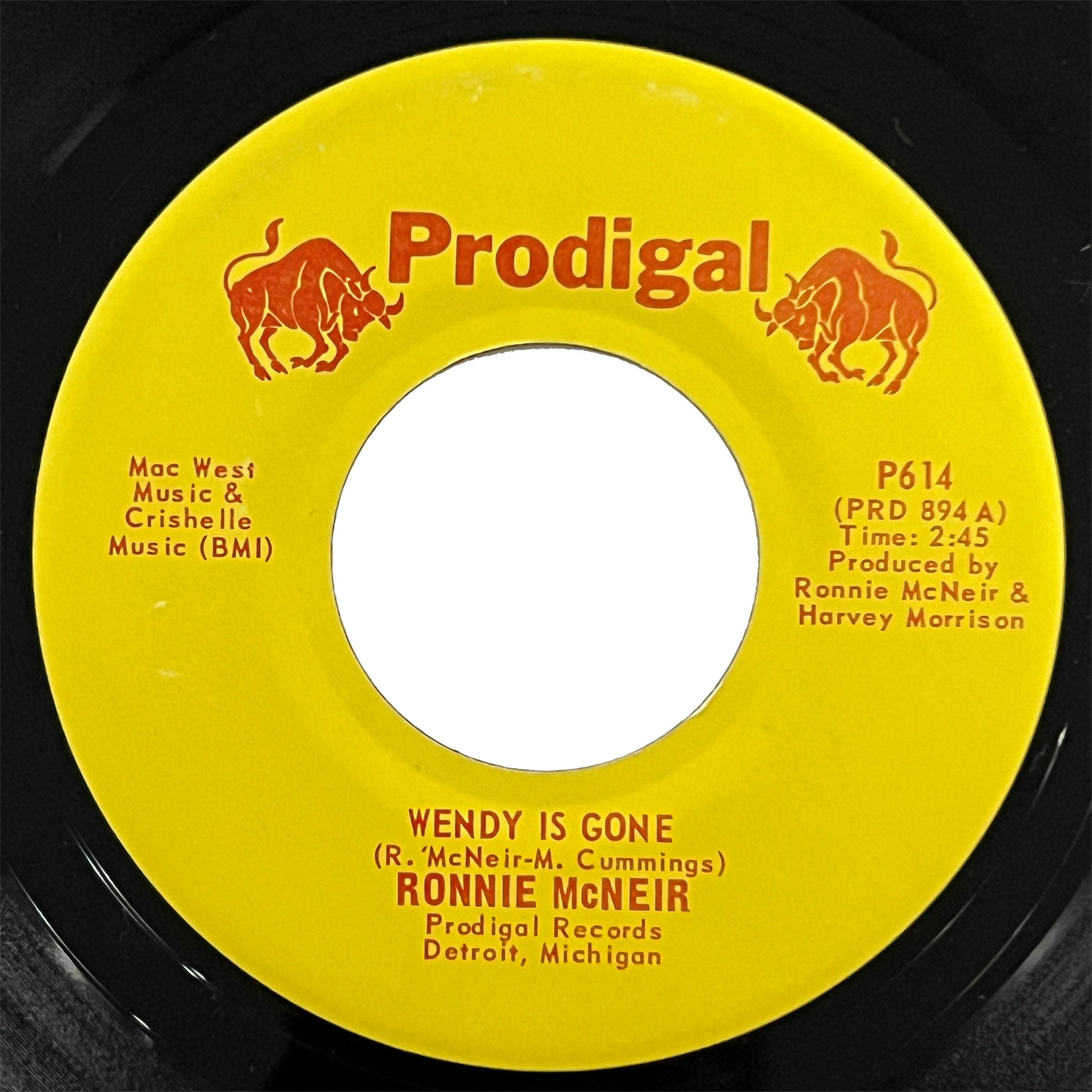 Ronnie McNeir - Wendy Is Gone