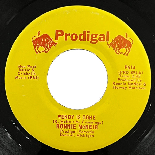 Ronnie McNeir - Wendy Is Gone