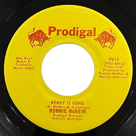 Ronnie McNeir - Wendy Is Gone