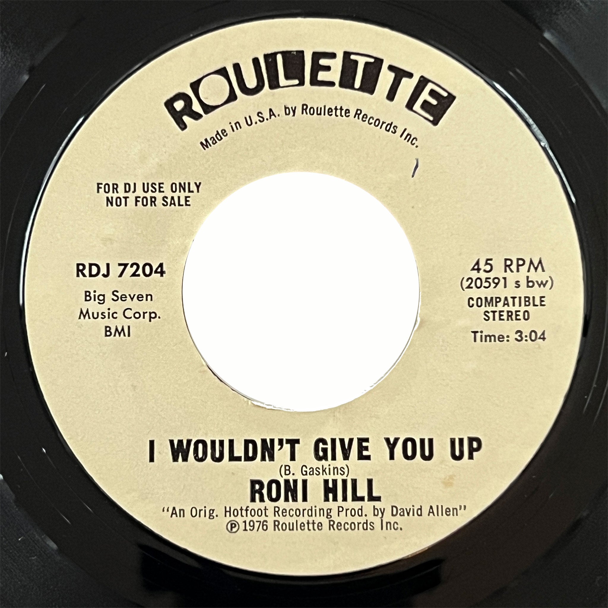 Roni Hill - I Wouldn't Give You Up (promo)