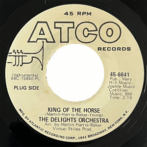 Delights Orchestra - King Of The Horse (promo)