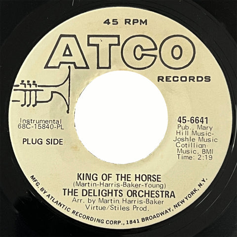 Delights Orchestra - King Of The Horse (promo)