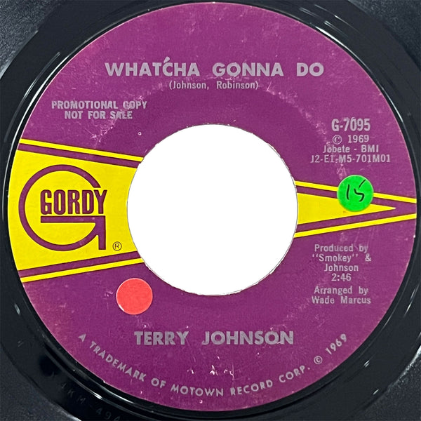 Terry Johnson - Whatcha Gonna Do