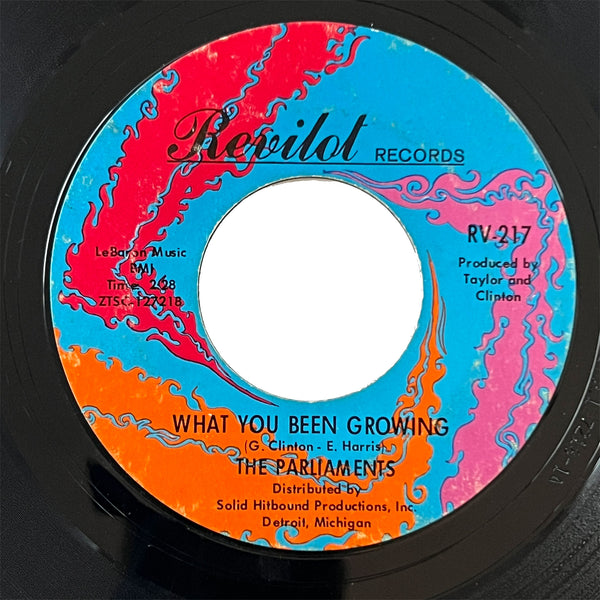 Parliaments - Look At What I Almost Missed