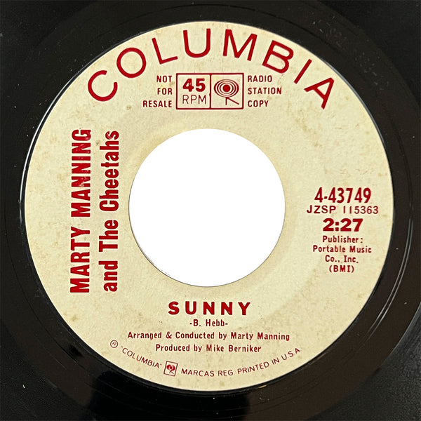 Marty Manning - Sunny (promo)