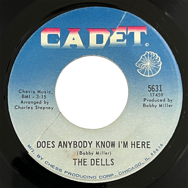 Dells - Make Sure (You Have Someone Who Loves You)