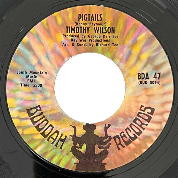 Timothy Wilson - Loving You