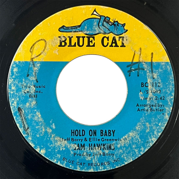 Sam Hawkins - Hold On Baby