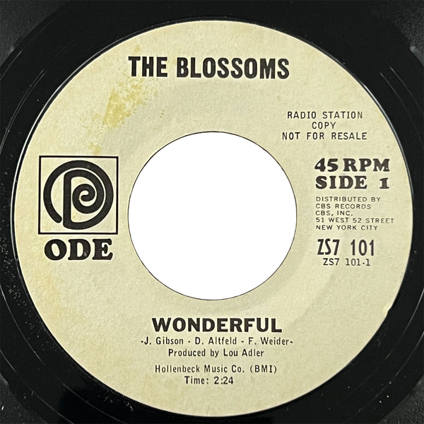 Blossoms - Wonderful (promo)