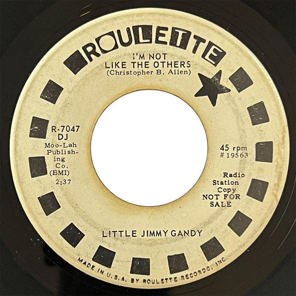 Little Jimmy Gandy - Im Not Like The Others (promo)