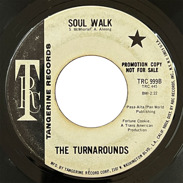 Turnarounds - Somewhere In This World (promo)