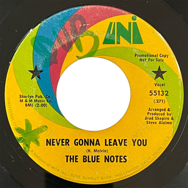 Blue Notes - Hot Chills And Cold Thrills (promo)