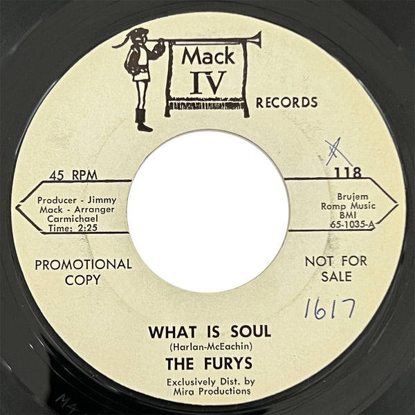 Furys - What Is Soul (promo)