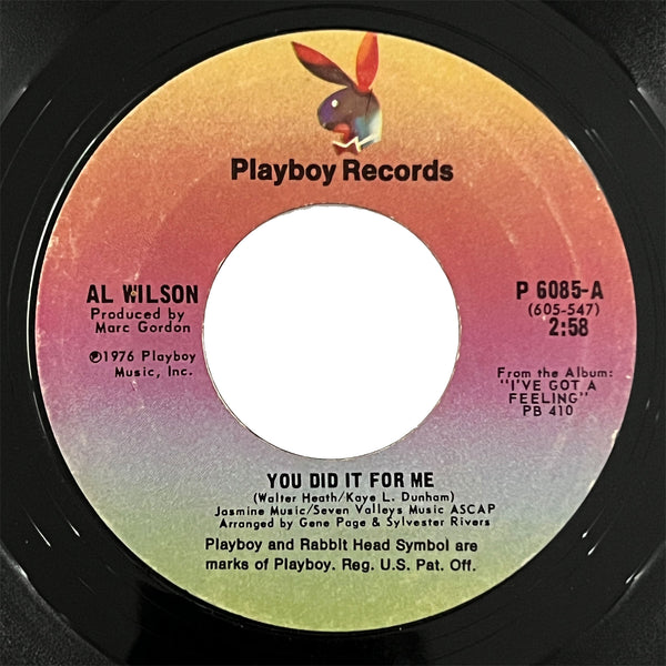 Al Wilson - You Did It For Me